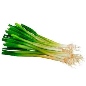 Cebolla Larga