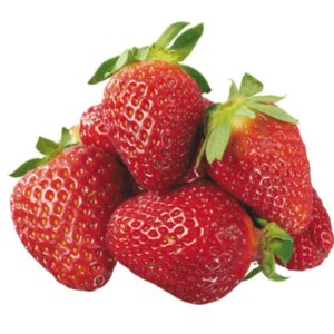 Fresa