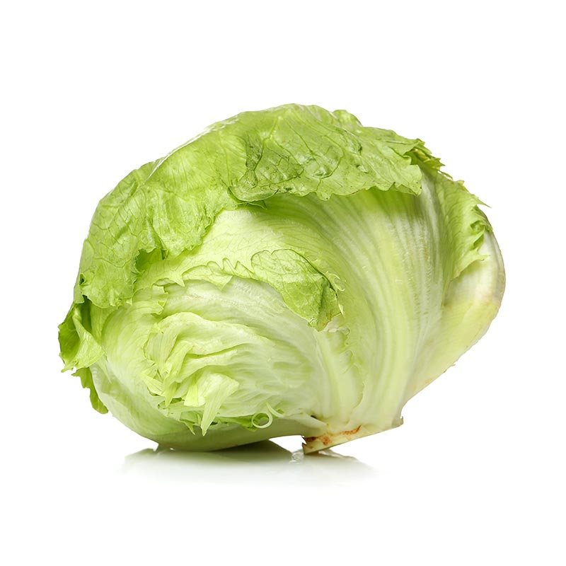 lechuga-batavia-1.jpg