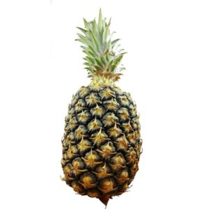 Piña Llanera Mayanes