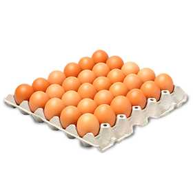 Huevos AA